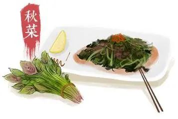 秋分|秋分秋分，昼夜平分