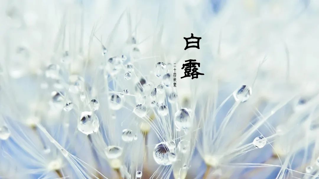 “露凝而白，秋意渐浓”