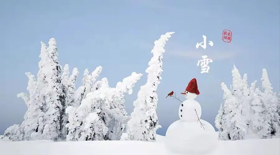 小雪|愿你三冬暖，愿你春不寒