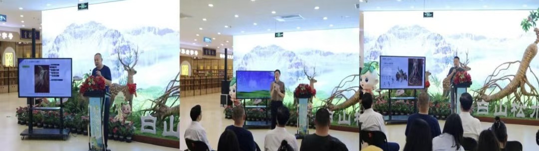 文化传媒学院创新社区走进“吉字号”人参交流会,共绘长白山参茸产业新蓝图 文化传媒学院创新社区走进“吉字号”人参交流会,共绘长白山参茸产业新蓝图