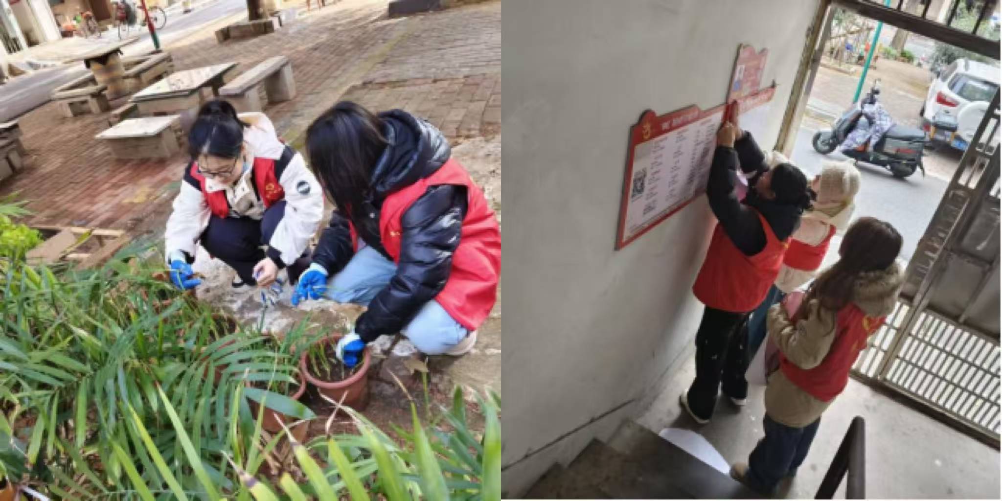 寒冬归乡献热忱：文传大三学子志愿行暖社区