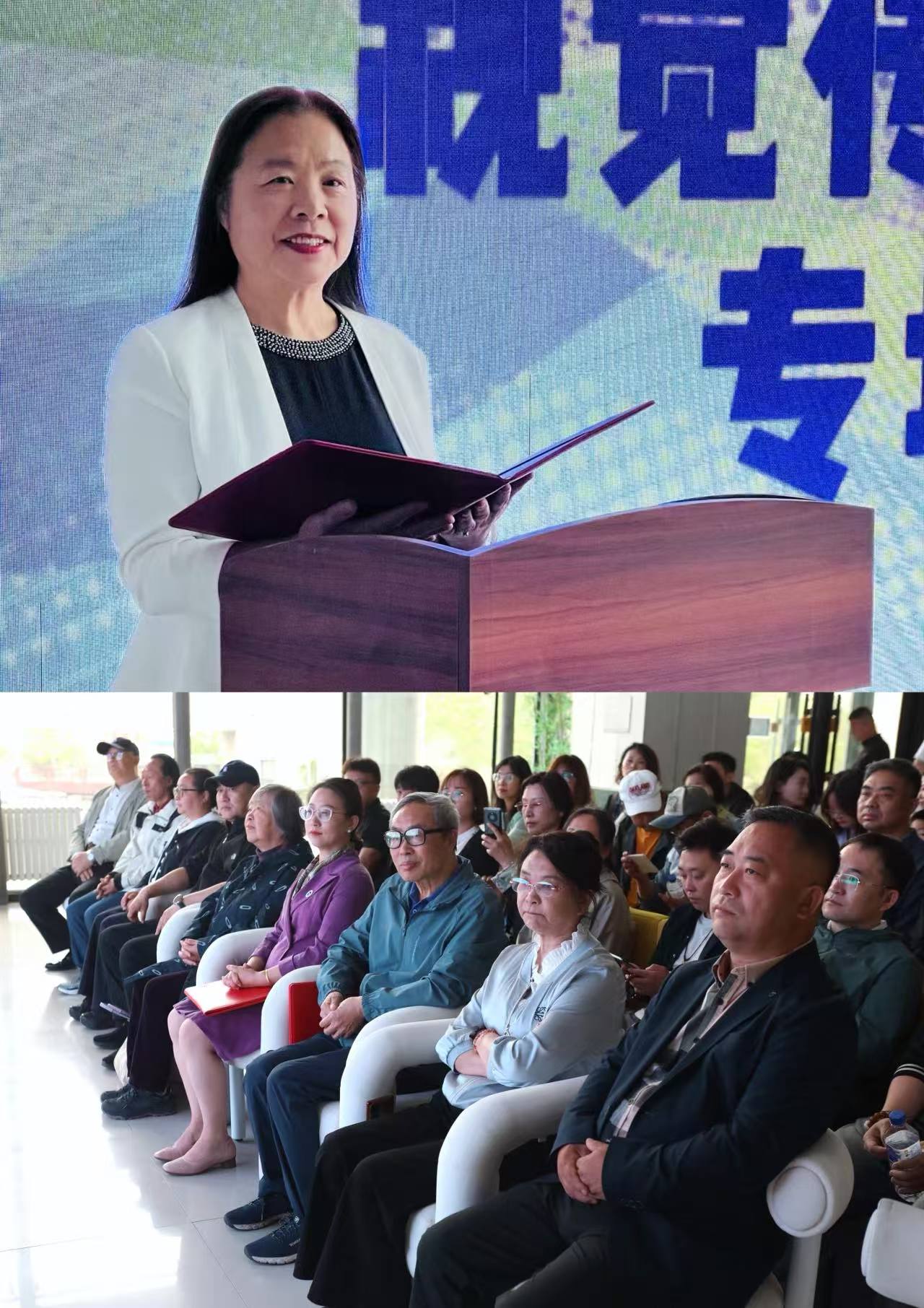 以视觉重塑认知 以设计回应时代——长春电子科技学院文化传媒学院2026届视觉传达设计专业毕业设计展开幕 以视觉重塑认知 以设计回应时代——长春电子科技学院文化传媒学院2026届视觉传达设计专业毕业设计展开幕