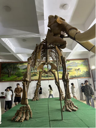 产教融合新篇|长春电子科技学院乾安泥林 教学实践基地揭牌仪式